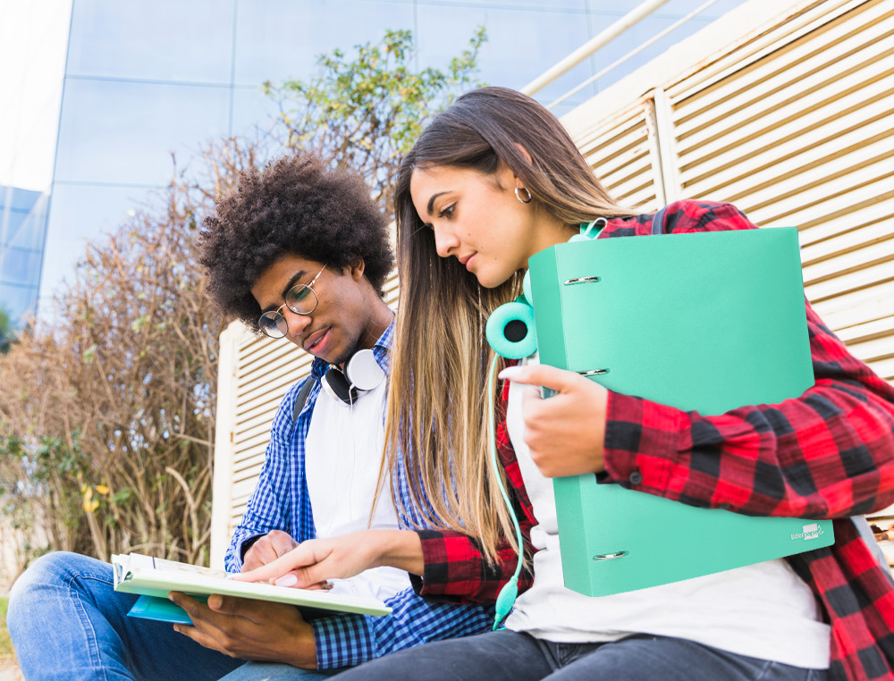 CARPETA LIDERPAPEL 4 ANILLAS MIXTAS 40 MM POLIPROPILENO DIN A4 VERDE MANZANA OPACO
