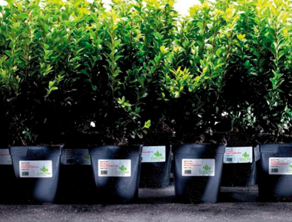 ETIQUETA ADHESIVA RESISTENTE AVERY POLIESTER BLANCO LASER 45,7X21,2 MM CAJA DE 960 UNIDADES